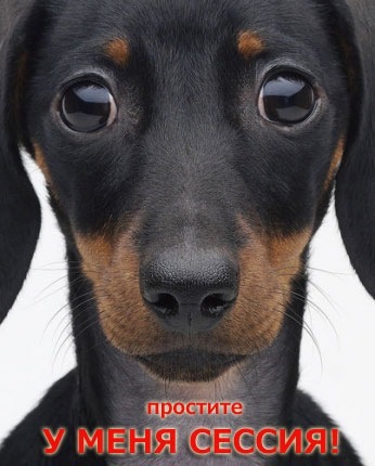 №108, Юлия Булыкина, Москва №108, Юлия Булыкина, Москва