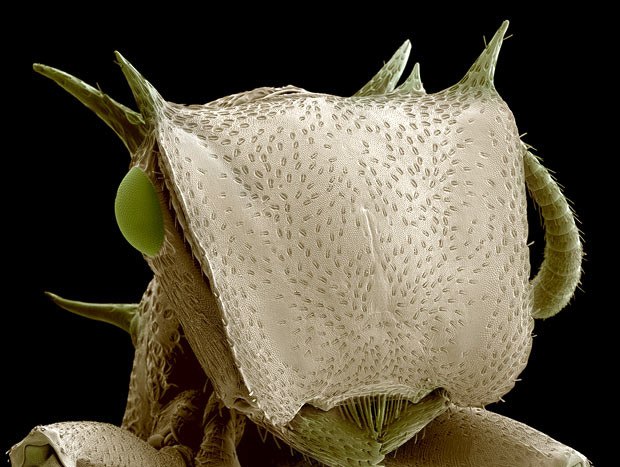 Юрий Иваненко | Киев