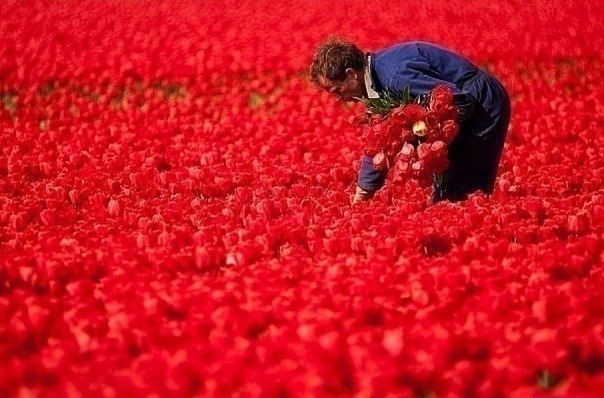Светлана Хихлуха | Одесса