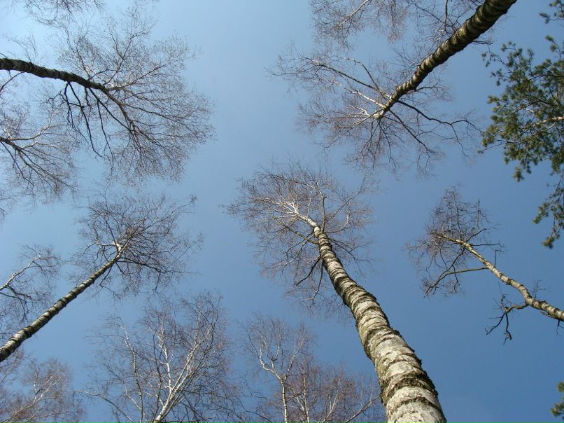 Игорь Лукашук | Жабинка