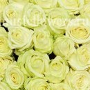 №33, Максим Тарасов, 37 лет, Казань №33, Максим Тарасов, 37 лет, Казань