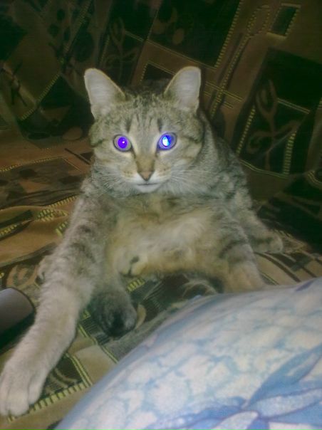 №18, Евгений Токарев №18, Евгений Токарев