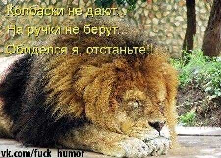 Руся Ширчков | Москва