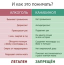 Дарья Степанова, Санкт-Петербург, Россия, 17.02