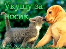 Фотография Воронцовой Александры