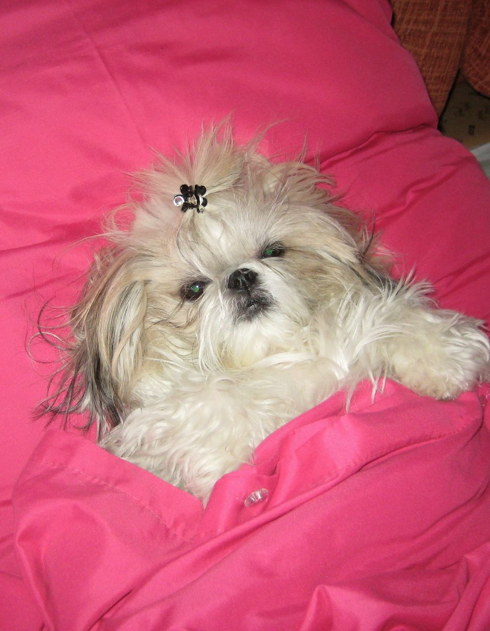 Наталия Небо | Киров