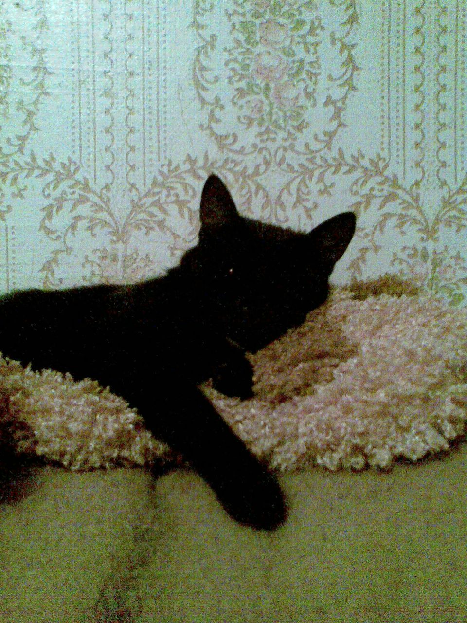 Ирина Алексеева | Воронеж