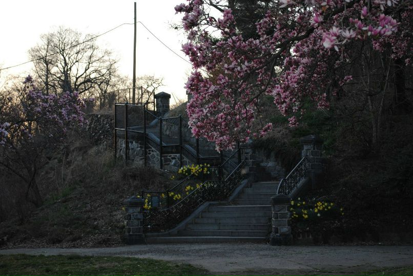 Екатерина Милис | Санкт-Петербург