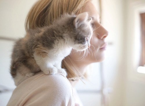 №28, Марина Шаронина, Москва, Россия №28, Марина Шаронина, Москва, Россия