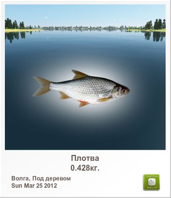 Александр Тярва | Montgomery Village