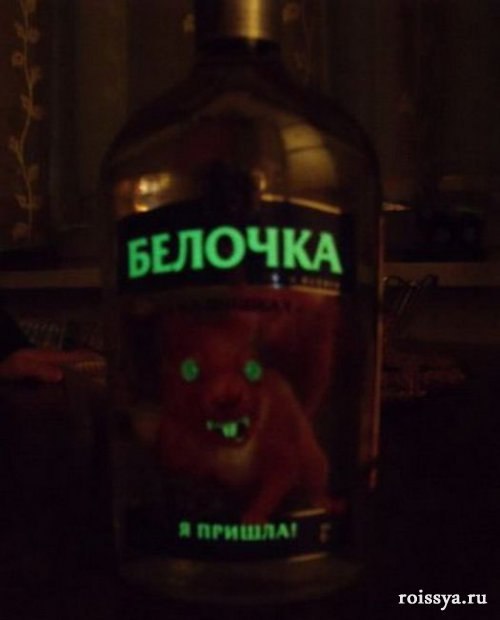 Алексей Усов | Вологда