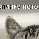 №66, Юленька Лапочка, 41 год, Санкт-Петербург №66, Юленька Лапочка, 41 год, Санкт-Петербург
