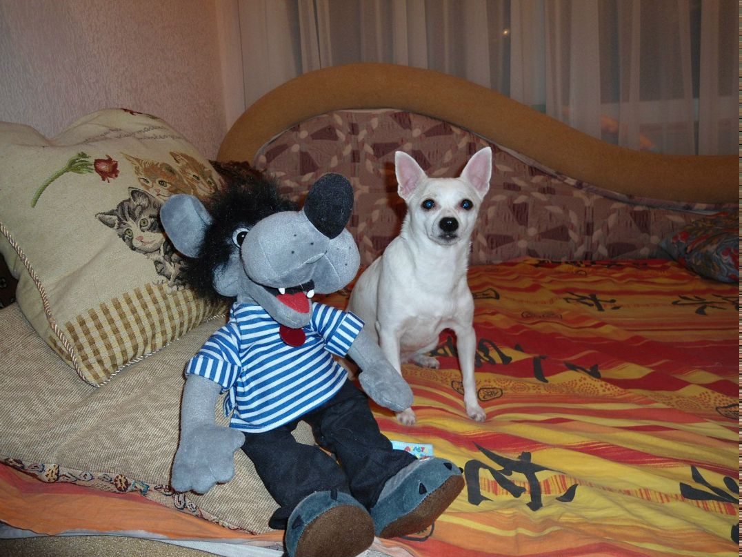 Андрей Беззубов сергеевич | Сочи