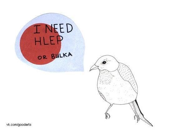 Юлія Шевченко | 