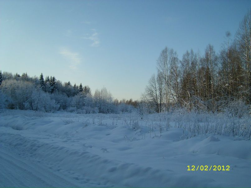 Ольга Коробкова | Петрозаводск