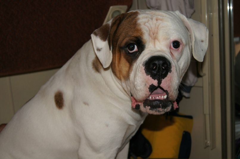 Ольга Исаева | Санкт-Петербург