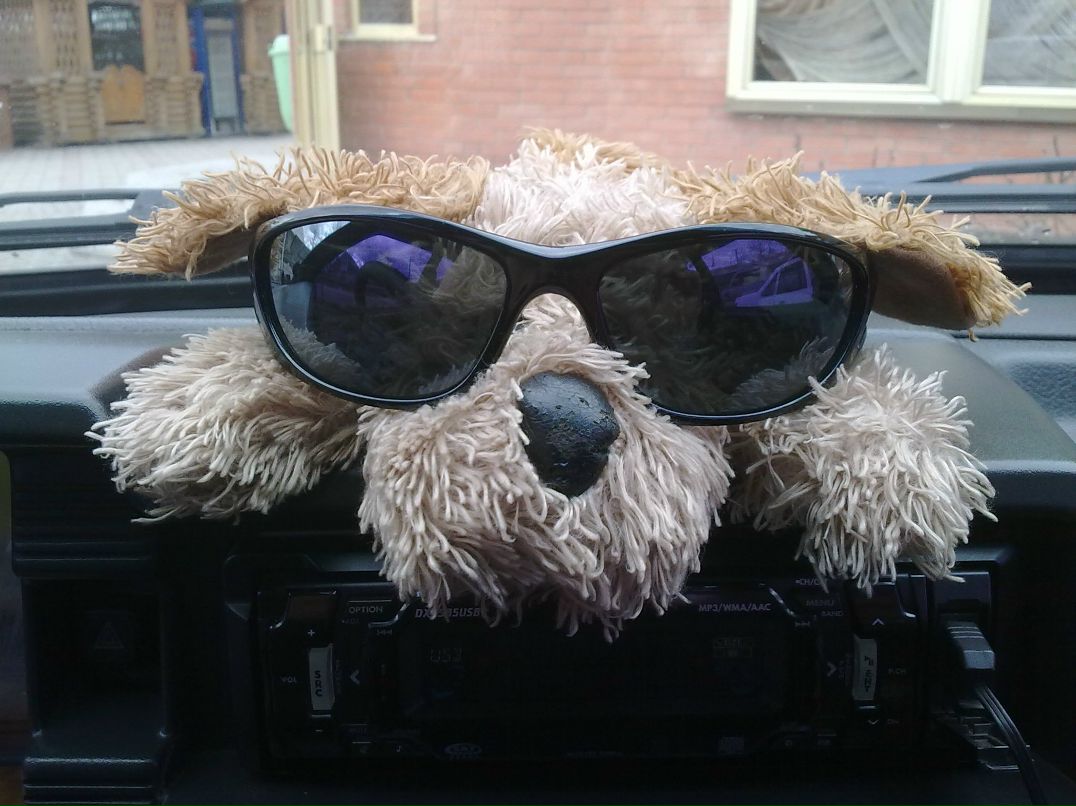 Иван Боднарюк | Черновцы