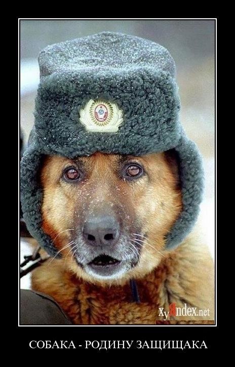 Денис Малков Андреевич | Санкт-Петербург