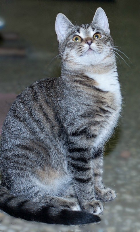 Maria Voroncova | Москва