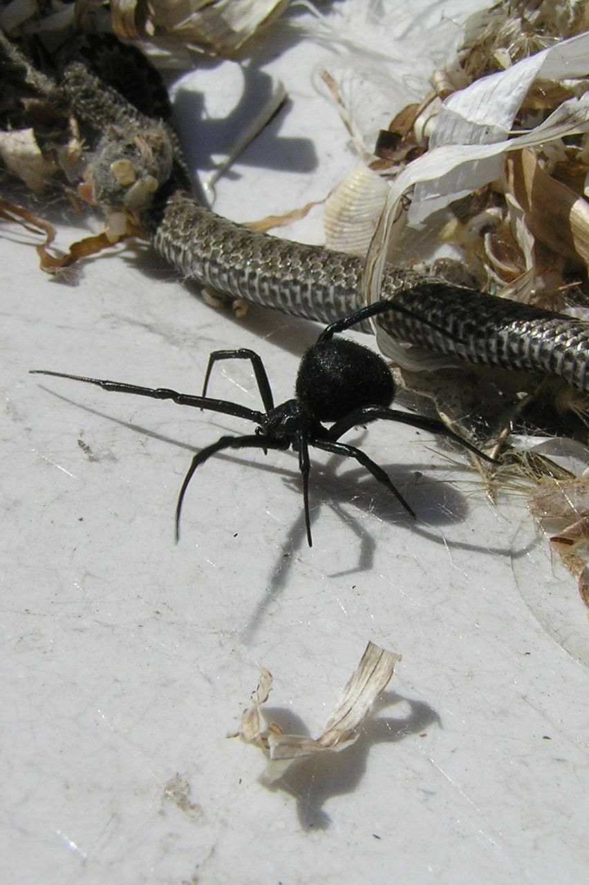 Наталя Васильченко Александровна | Харьков