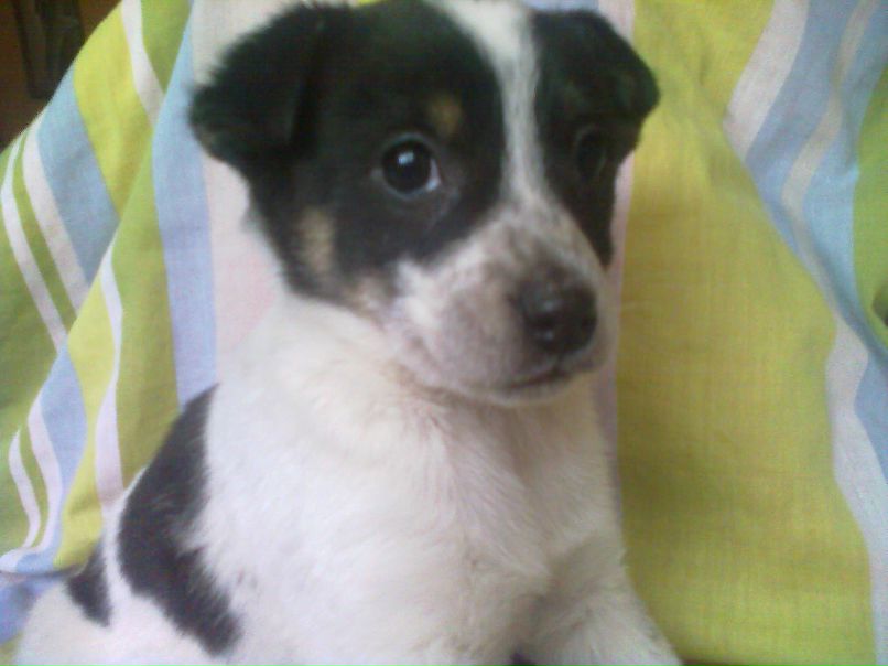 Санька Родионова | Москва