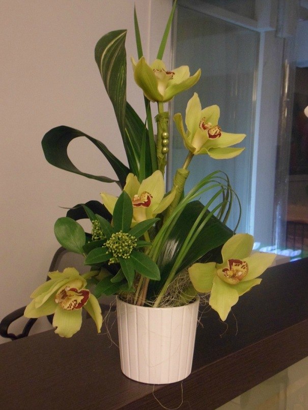 Ольга Пилявская | 