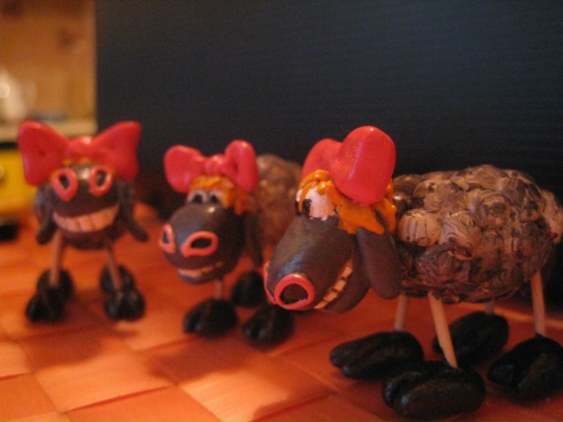 Андрей Кацубо | Гомель