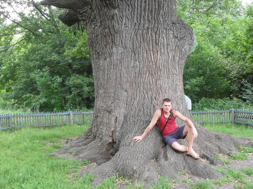 Артем Фисун | Донецк