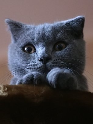 №6, Дима Сирик, 42 года, Киев №6, Дима Сирик, 42 года, Киев