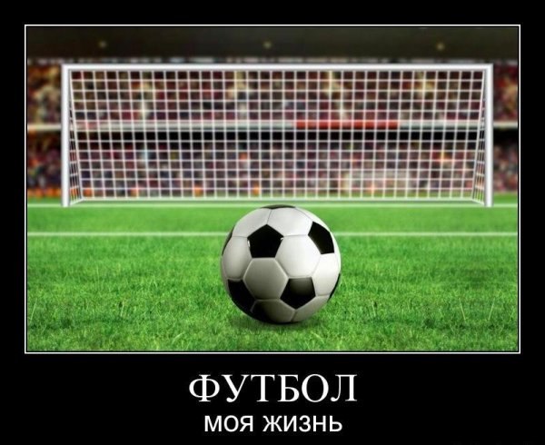 Николай Ситников | Волгоград