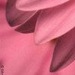 Юлия Расова фотография #5 (источник - https://vk.com/id49111498)