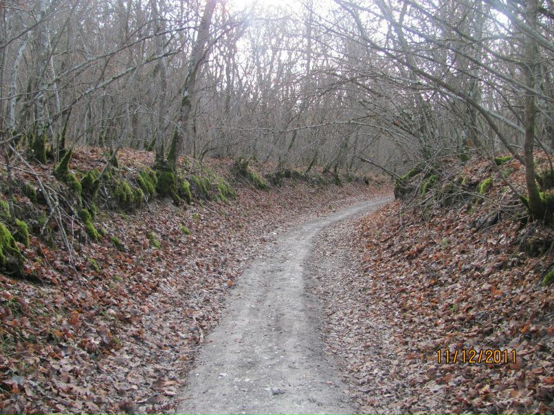 Костя Живетьев Wolf-LONER | Симферополь