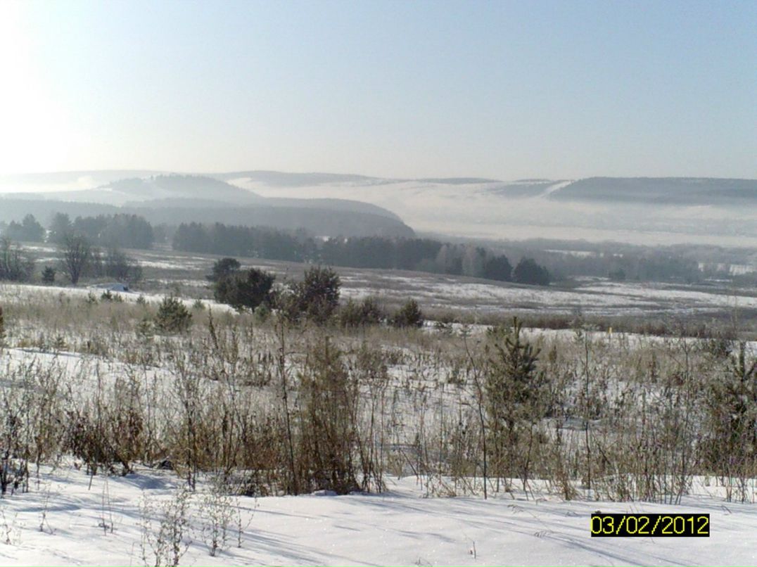 Владимир Пушкин | Кулотино