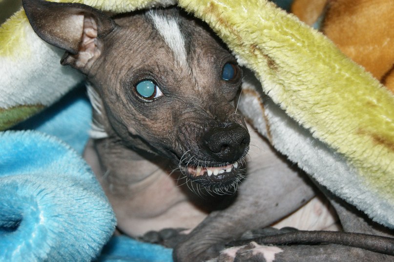 Павел Горбачёв 