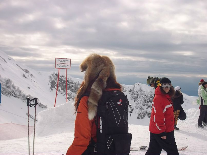 Светлана Хошева | 