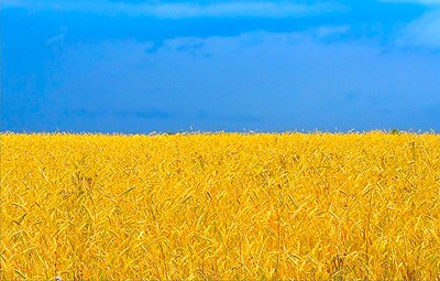 Алексей Яковчик | Москва