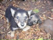 №14 Anastasia Moskvina 07.09.1985: профиль, фото, статус - ВКонтакте