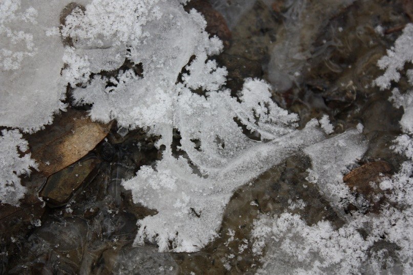 Мария Хаткевич | Горячий Ключ