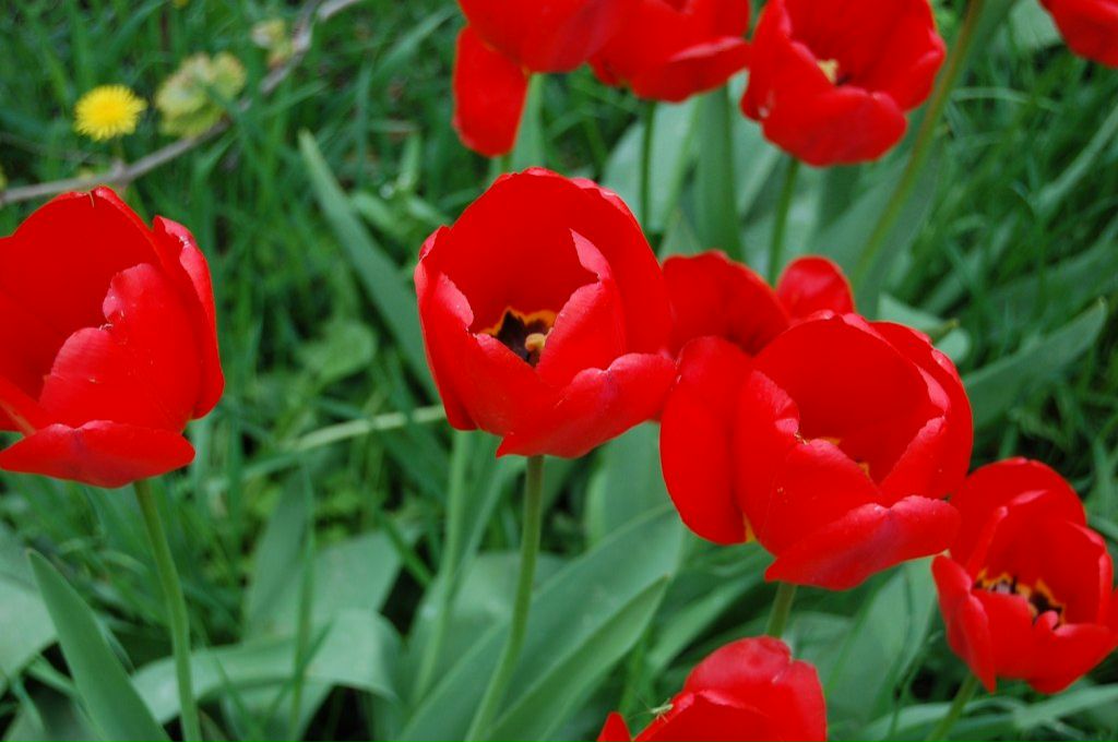 Натали Понизовная | Софрино (поселок)