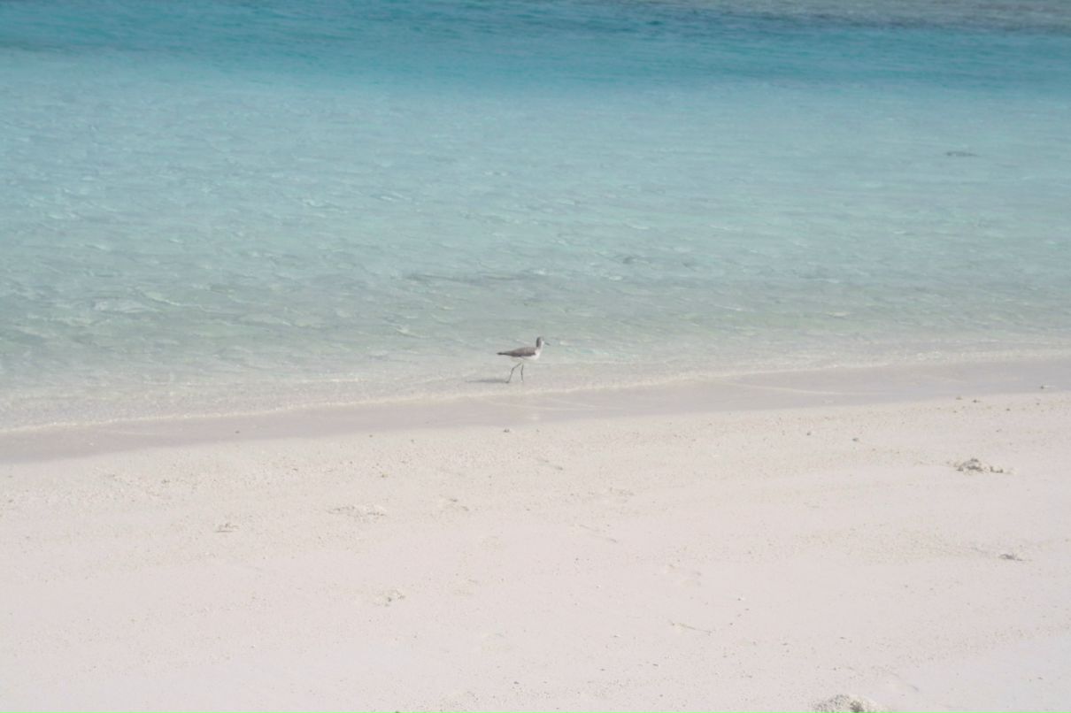 Валентина Векшина | Санкт-Петербург