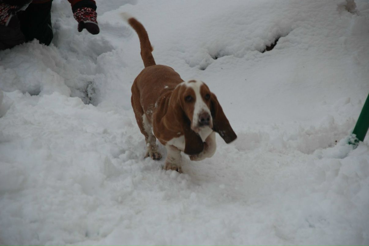 Ярослав Шелест | Москва