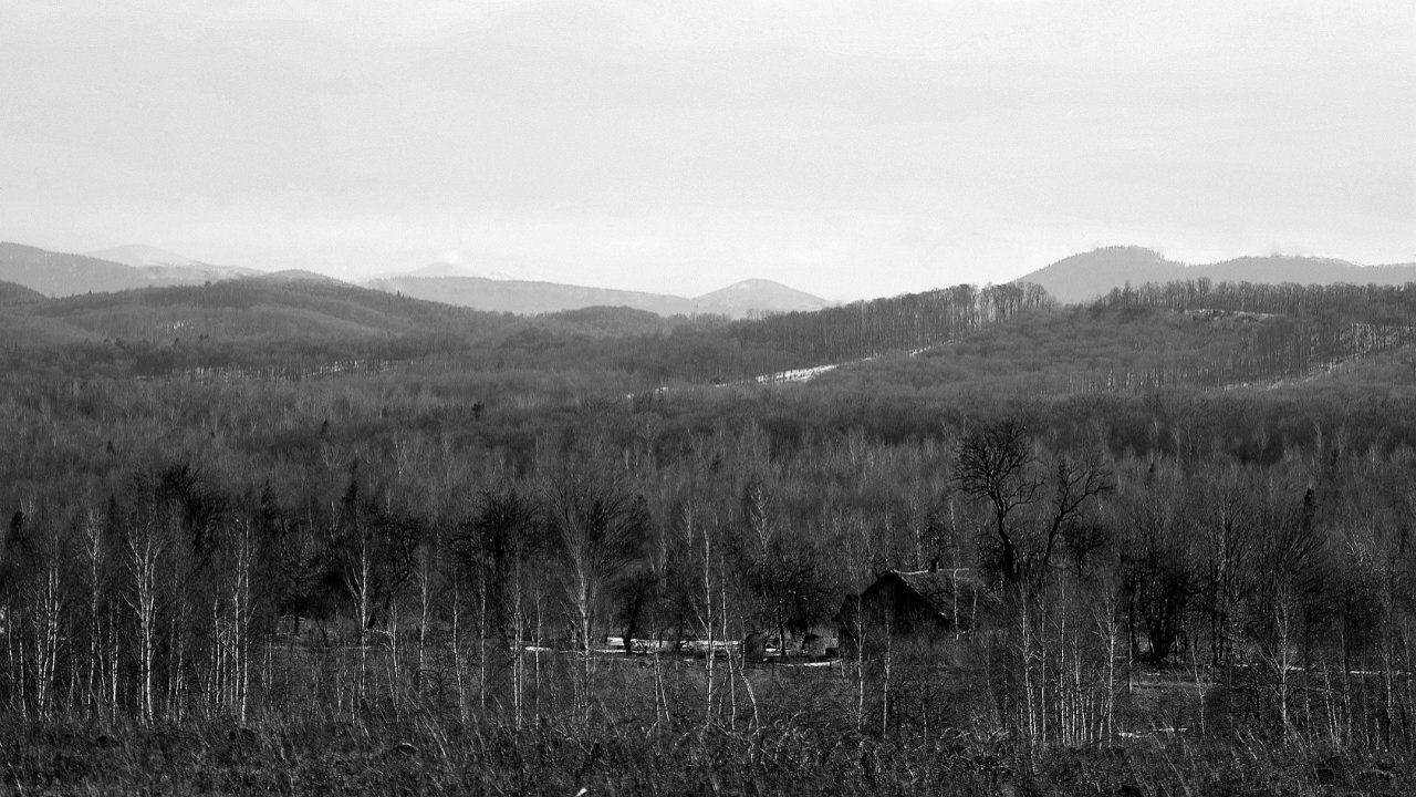 Тарас Брус | Львов