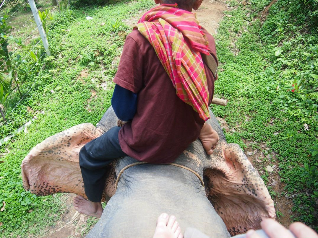 Александра Захарова | Санкт-Петербург