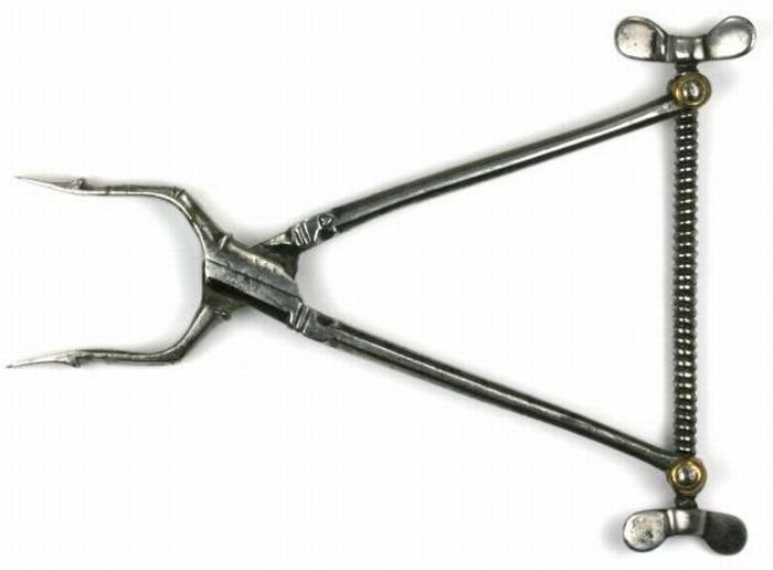 Михаил Зверев | Санкт-Петербург