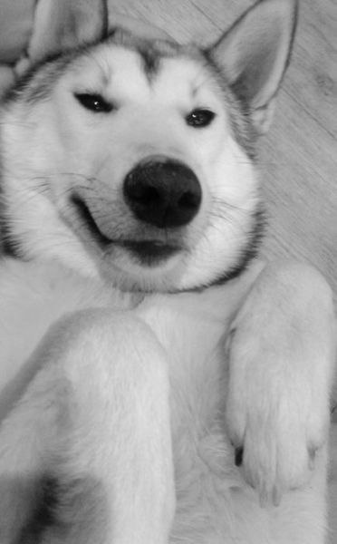 Оля Шустрова ♥♥ღ•° | 