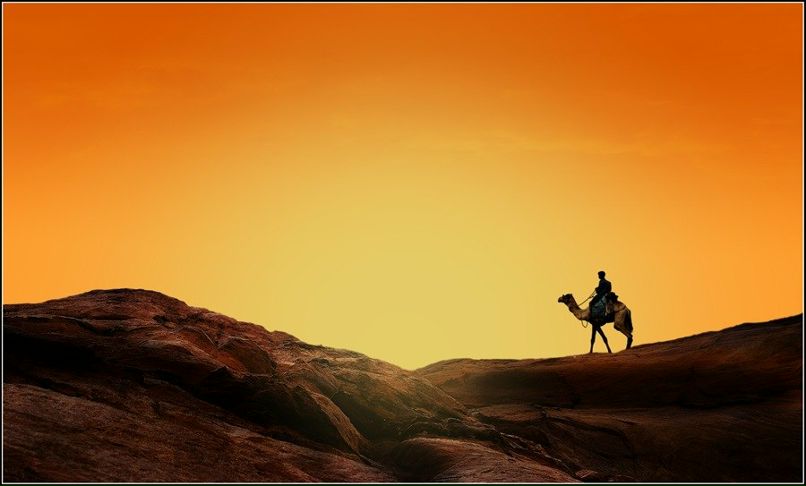 Рустам Ибрагимов | Барнаул