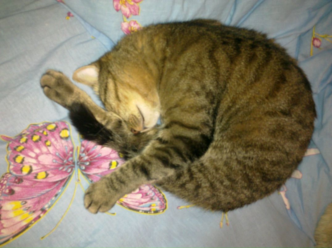 Лелька Яковлева | Москва