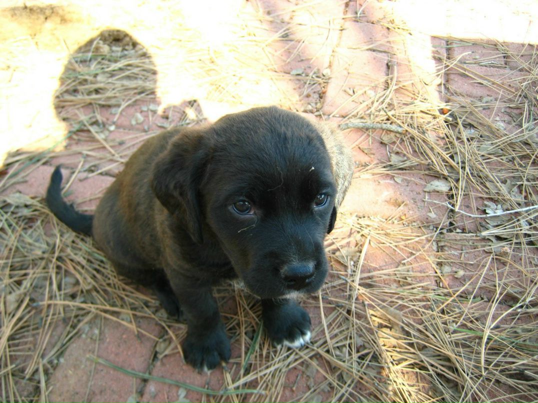 Аня Крылова | Santa Fe