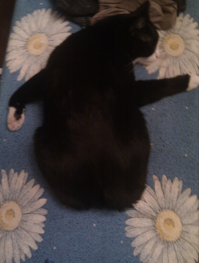 Александр Гончаров | Москва