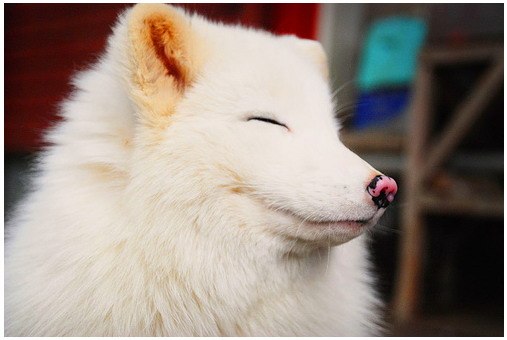 Глеб Розинкин | Омск